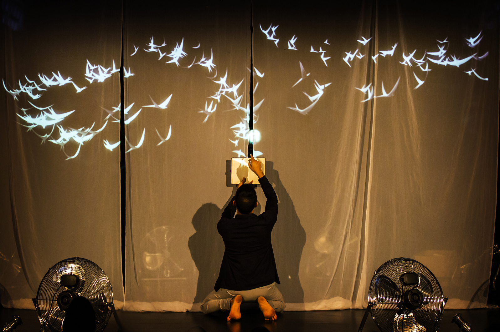 a photo from the performance, showing a flock of birds projected on a sheet